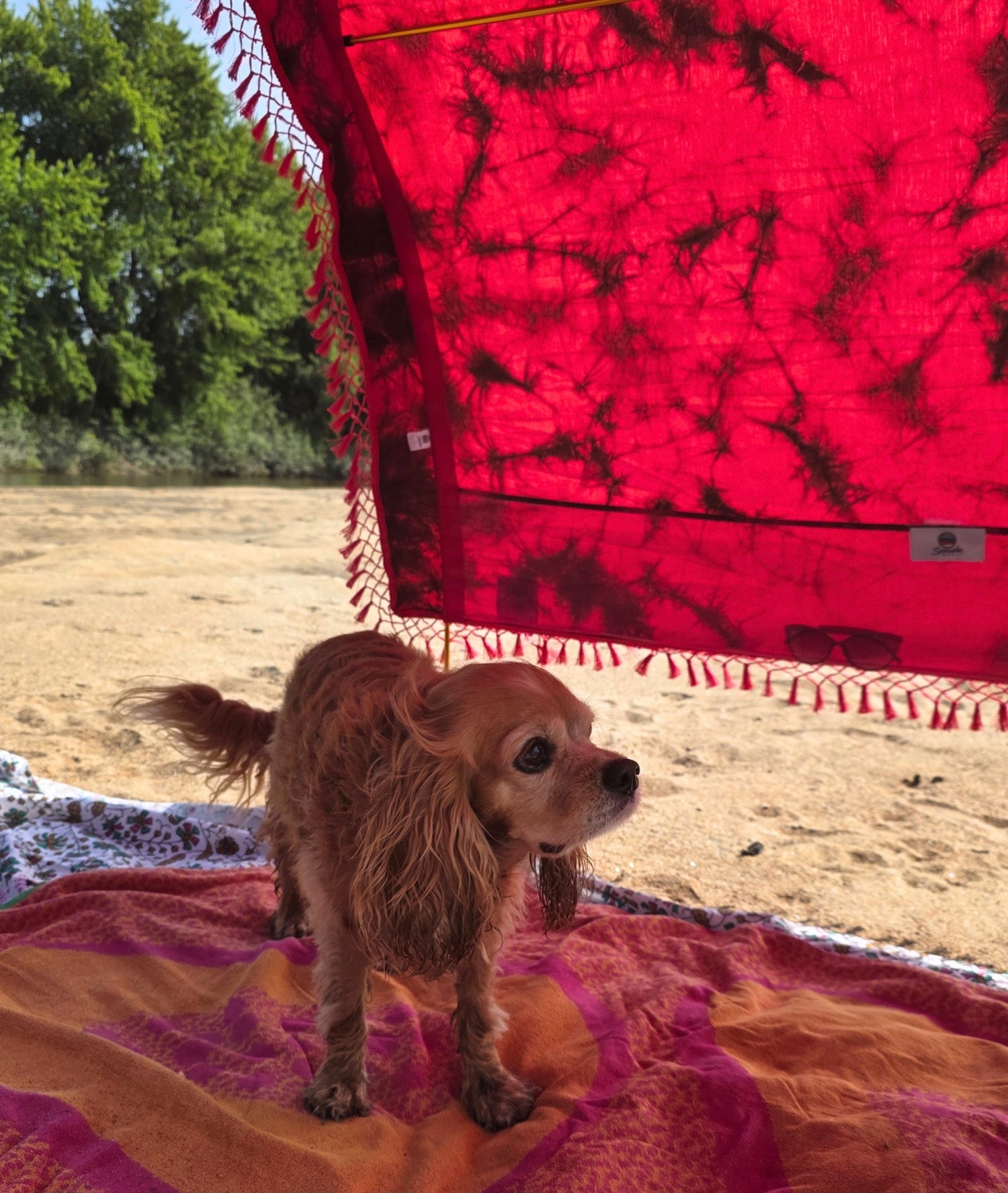 Suniela Travel-Ready Beach Cabana