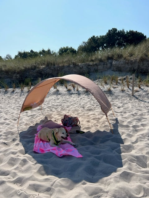 dog relaxing beneath a Suniela Beach classic shade tent in Sand colour