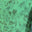 Rainforest Green